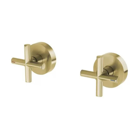 Phoenix Vivid Slimline Plus Wall Top Assemblies Lead Free Brushed Gold 119-0600-12-1