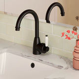 Fienza Eleanor Gooseneck Basin Mixer Lead Free White Handle Matte Black 202104BK-LF