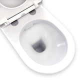 Fienza Resort Back-to-Wall Toilet Suite S Trap 90-200 w/ Bottom Inlet White 385447WA