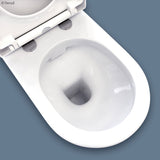 Fienza Resort Back-to-Wall Toilet Suite S Trap 90-200 w/ Top Inlet White 406047WA