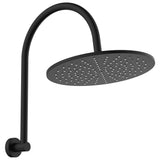 Fienza Empire Slim Curved Shower Arm Set Matte Black 411109B-D