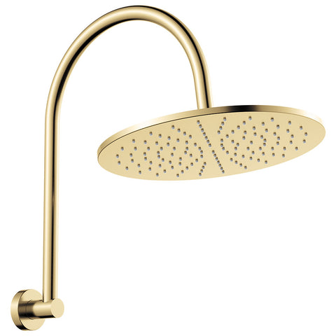 Fienza Empire Slim Curved Shower Arm Set Urban Brass 411109UB-D