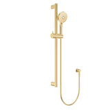 Fienza Care Rail Shower Set 900mm Urban Brass 444119UB