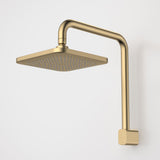 Caroma Luna Fixed Overhead Shower Brushed Brass 90391BB4E