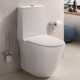 Fienza Sensation Flush Back to Wall Toilet Suite (S Trap) White 616426WA