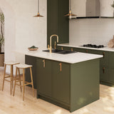 Fienza Kuro Granite Sink Double Bowl Top/Undermount (Incl. Waste) 787x457x240mm Matte Black 68603