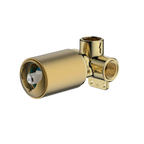 Abey Poco Shower Mixer Internal (In Wall Body Only)Brushed Brass 6SH-INT-BB