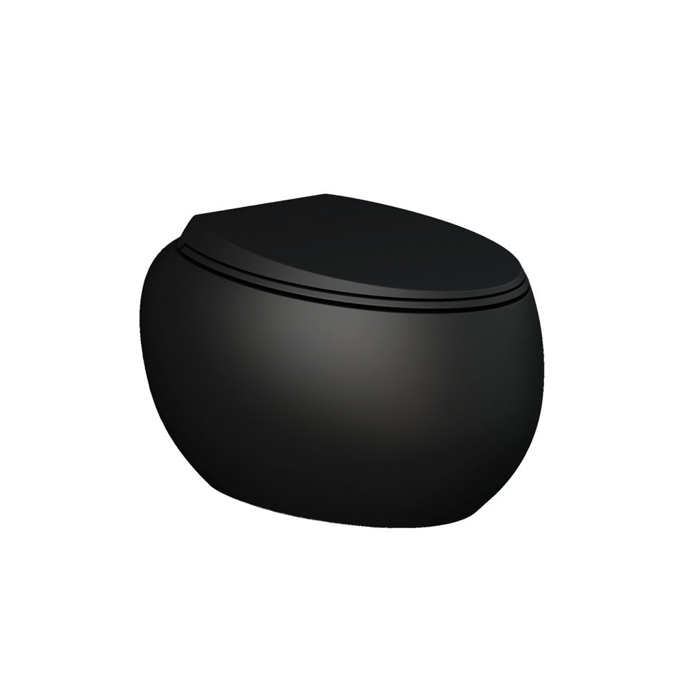 Fienza Rak Cloud Wall Hung Toilet Suite w/ RT Cistern (No Button) Matte Black 757750MB