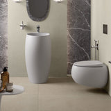 Fienza Rak Cloud Wall Hung Toilet Suite w/ Viega V-02 Cistern (No Button) Matte White 757950MW