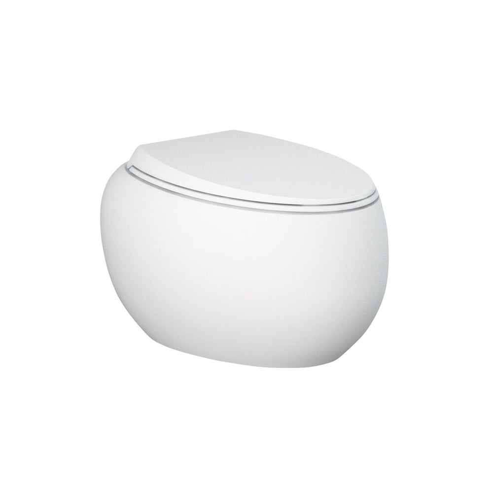 Fienza Rak Cloud Wall Hung Toilet Pan P Trap w/ Seat Matte White 750050MW