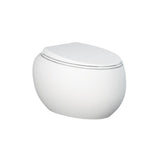 Fienza Rak Cloud Wall Hung Toilet Pan P Trap w/ Seat Matte White 750050MW