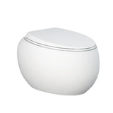 Fienza Rak Cloud Wall Hung Toilet Suite w/ RT Cistern (No Button) Matte White 757750MW