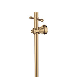 Fienza Lillian Vertical Heated Towel Rail 1000mm w/ Optional Hook Urban Brass 8101000UB