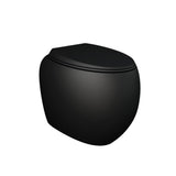 Fienza Rak Cloud Wall Faced Toilet Suite No Button P Trap w/ Geberit Sigma Cistern Matte Black 897550MB