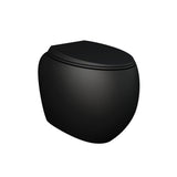 Fienza Rak Cloud Wall Faced Toilet Suite (S Trap) w/ R&T In Wall Cistern (No Button) Matte Black 897750MBA