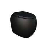 Fienza Rak Cloud Wall Faced Under Counter Toilet Suite No Button P Trap w/ Viega V-03 Cistern Matte Black 897850MB