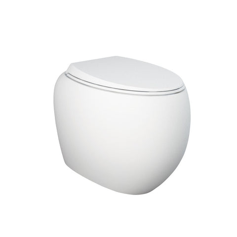 Fienza Rak Cloud Wall Faced In Wall Toilet Pan No Button P Trap Matte White 897750MW