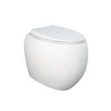 Fienza Rak Cloud Wall Faced Toilet Suite (S Trap) w/ R&T In Wall Cistern (No Button) Matte White 897750MWA