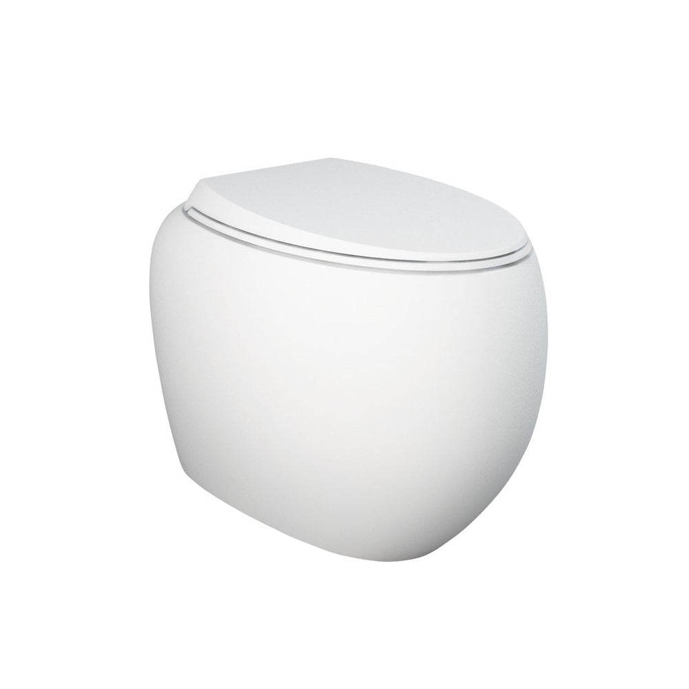 Fienza Rak Cloud Wall Faced Pan & Seat (S Trap) Matte White 890050MWA