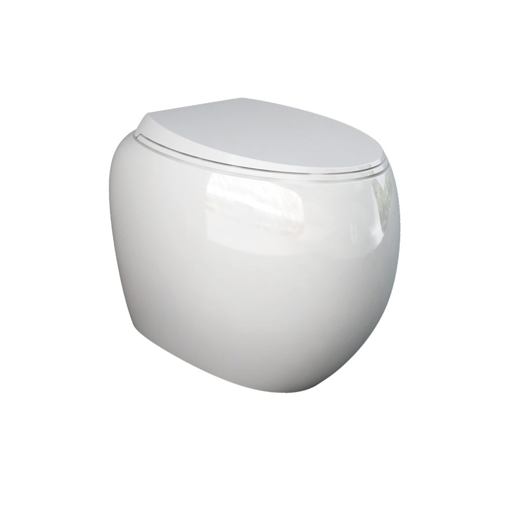 Fienza Rak Cloud Wall Faced Toilet Suite No Button P Trap w/ Viega V-01 Cistern White 897950W