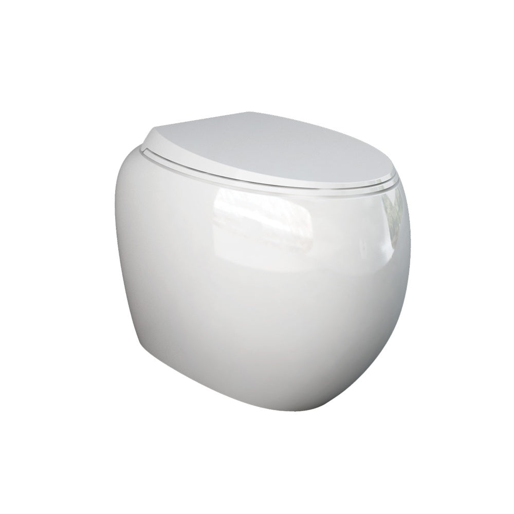 Fienza Rak Cloud Wall Faced Toilet Suite (S Trap) w/ R&T In Wall Cistern (No Button) Gloss White 897750WA