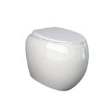 Fienza Rak Cloud Wall Faced Toilet Suite No Button P Trap w/ Geberit Sigma Cistern Gloss White 897550W