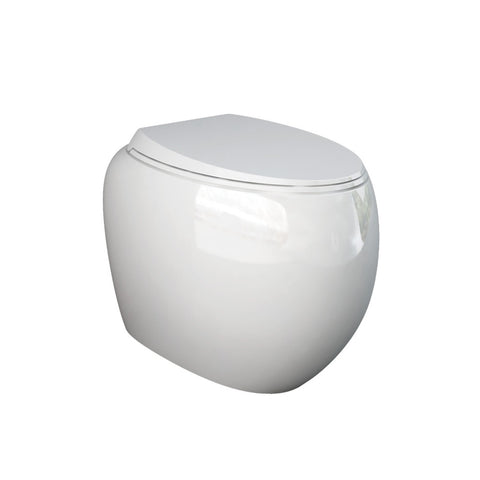 Fienza Rak Cloud Wall Faced Toilet Pan P Trap Alpine Gloss White 890000W