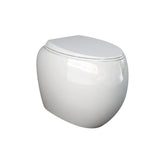 Fienza Rak Cloud Wall Faced In Wall Toilet Suite No Button P Trap Gloss White 897750W