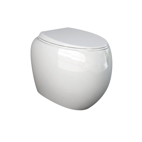 Fienza Rak Cloud Wall Faced Toilet Suite No Button P Trap w/ Viega V-01 Cistern Matte White 897950MW