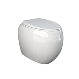 Fienza Rak Cloud Wall Faced Under Counter Toilet Suite No Button P Trap w/ Viega V-03 Cistern White 897850W