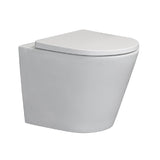 Argent Grace Neu Wall Faced Toilet S&P Trap (HygienicFlush) White 8H157R001S4B