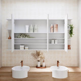 Fienza Bevel Edge Mirror Cabinet 1200mm w/ 2 x 150mm Side Shelves BSS150