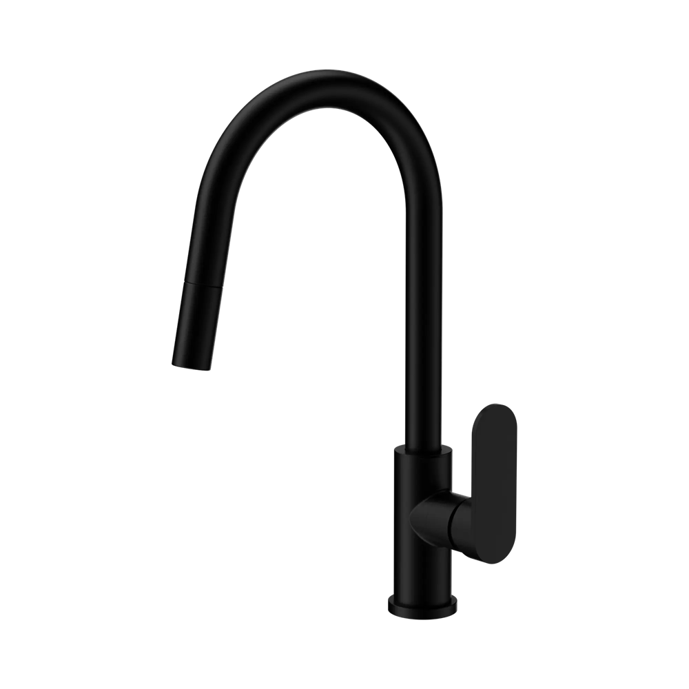Nero Ecco Pull Out Kitchen Mixer Matte Black NR301308MB