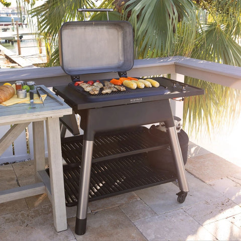 Everdure Force Gas BBQ w/ Stand Orange E2G1OA