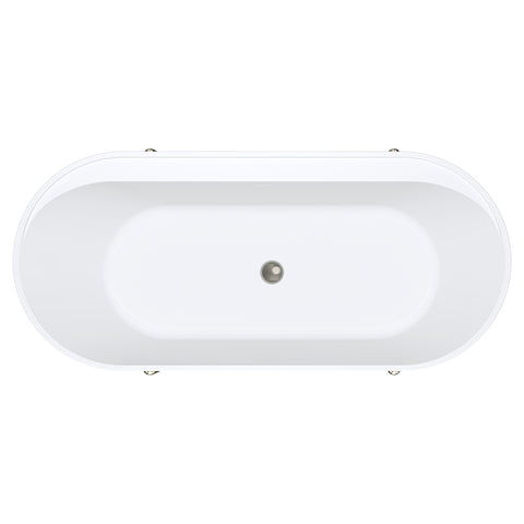 Fienza Aluca Freestanding Bath 1700mm w/ Overflow Matte White w/ Brushed Nickel Legs FR88-1700W-BN-OF