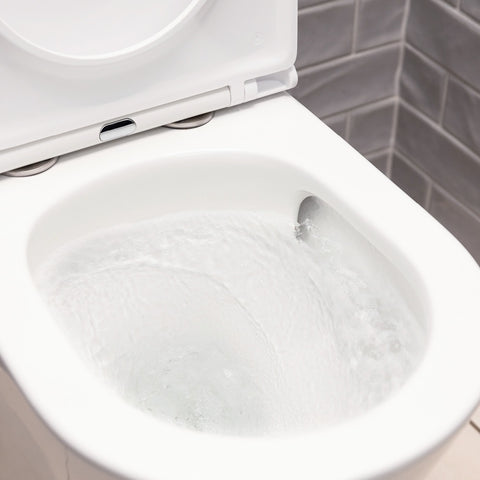 Fienza Tono Toilet Suite (Thick Seat) S-Trap 90-160mm Gloss White K028GEA