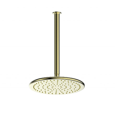 Greens Rocco Ceiling Shower PVD Brushed Brass 1850029BB