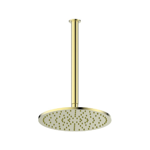 Greens Lavish Brass Ceiling Shower PVD Brushed Brass 239101BB