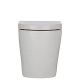 Fienza Koko Tornado Wall Faced Toilet Suite (S Trap) Viega V03 Under Counter Cistern (No Button) Gloss White K002376A-V3