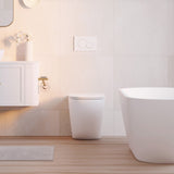 Fienza Koko Wall-Faced Toilet Pan Only Gloss White K002376-PAN