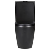 Fienza Koko Back to Wall Toilet Suite (P Trap) Matte Black K002MBP