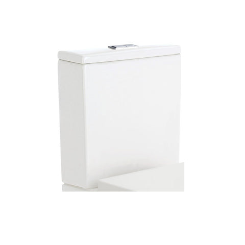 Fienza Universal Cistern (Suits Multiple Toilet Suites) R&/ Flushing Mechanism K002-C