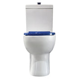 Fienza Stella Care Back to Wall Toilet Suite (P Trap) Top Inlet Gloss White & Blue Seat K006P-1