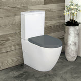 Fienza Geberit Alix Tornado S Trap Toilet Suite 160-210mm Gloss White w/ Grey Seat K011GGEB