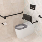 Fienza Isabella Care Wall Faced Suite S Trap R&T Cistern w/ White Flush Button Gloss White w/ Grey Seat K016GA-RTW