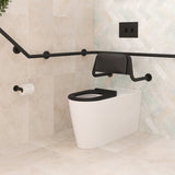 Fienza Isabella Care Wall Faced Toilet Suite (S Trap) Viega V-01 Cistern (No Button) Gloss White Matte Black Seat K016MBA-V1