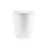 Fienza Alix Ambulant Wall Faced Toilet Suite Slim Seat (S Trap) Viega V-01 In Wall Cistern (No Button) Gloss White K025A-V1-2