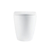 Fienza Alix Ambualant Wall Faced Toilet Suite Slim Seat (S Trap) Viega V-03 Under Counter Cistern (No Button) Gloss White K025A-V3-2