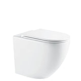 Fienza Alix Wall Faced Toilet Slim Seat (S Trap) R&T In Wall Cistern (No Button) Gloss White K025A-R&T-2