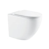 Fienza Alix Ambulant Wall Faced Toilet Suite Slim Seat (S Trap) Viega V-01 In Wall Cistern (No Button) Gloss White K025A-V1-2